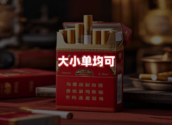 专业团队